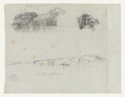 Szkice drzew, winorośli i brzegu Rio Magdalena, Kolumbia autorstwa Frederic Edwin Church