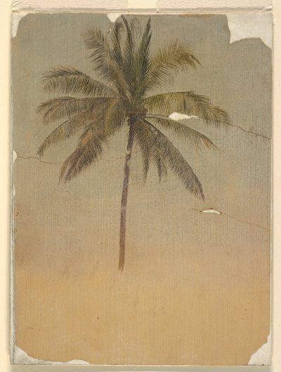 Pień i wierzchołek palmy autorstwa Frederic Edwin Church