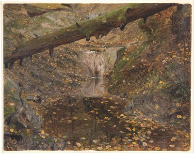 Woodland Stream, prawdopodobnie Mt. Desert, Maine autorstwa Frederic Edwin Church