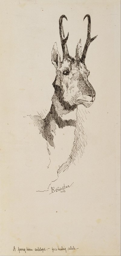 Antylopa Pronghorn autorstwa Frederic Remington