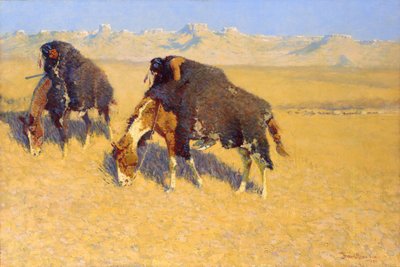 Indianie symulujący bizony autorstwa Frederic Remington
