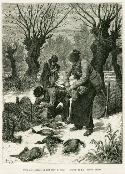 Złap kaczki w siatkę. Grawerowanie autorstwa Lixa, ilustrujące opowiadanie „Przez Alzację i Lotaryngię”, w 1887 r., autorstwa Charlesa Grada, niemieckiego zastępcy, w tour du monde 1888, w reżyserii Edouarda Chartona (1807-1890), Hachette, Paryż. autorstwa Frederic Theodore Lix