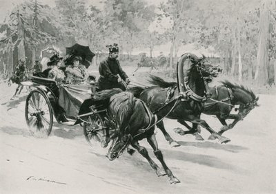 Trojka autorstwa Frederic de Haenen