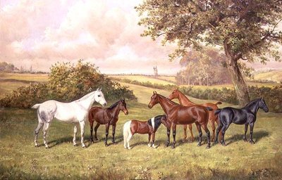 Grupa kucyków autorstwa Frederick Albert Clark