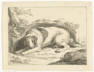 spaniel Książka rysunkowa Abrahama Bloemaerta (tytuł serii) autorstwa Frederick Bloemaert