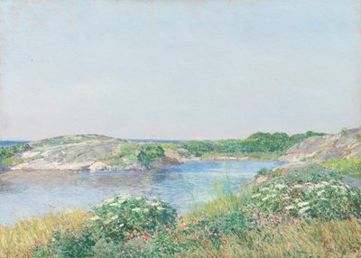 Mały Staw, Appledore, 1890. autorstwa Frederick Childe Hassam
