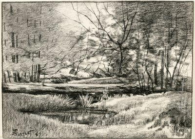Basen w Adirondacks autorstwa Frederick Eugene Bartlett
