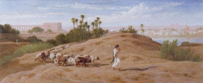Stado kóz w pobliżu Kairu autorstwa Frederick Goodall