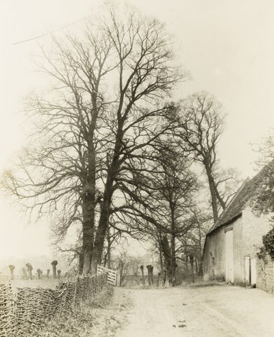 Kelmscott Manor: Droga i wejście autorstwa Frederick H. Evans