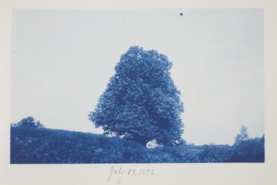 Bez tytułu, 19 lipca autorstwa Frederick K. Coulson