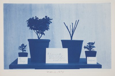 Bez tytułu, 1 marca autorstwa Frederick K. Coulson
