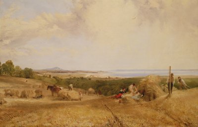 Pole żniwne, 1846 r. autorstwa Frederick Richard Lee