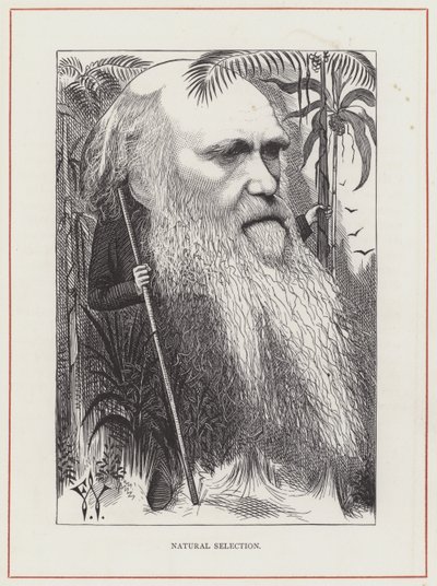 Karol Darwin, Dobór Naturalny autorstwa Frederick Waddy