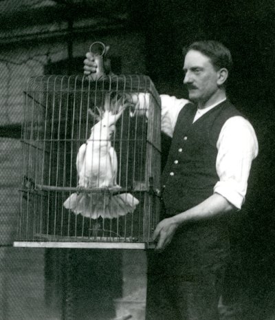 Opiekun trzyma kakadu czubatego siarki, Jade, w klatce w londyńskim zoo w październiku 1924 r. autorstwa Frederick William Bond