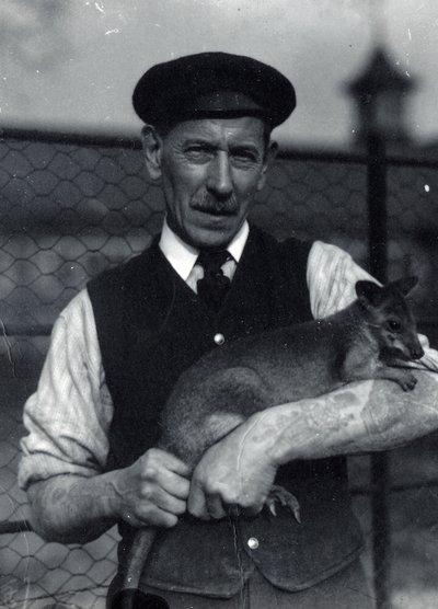 Stróż trzyma wallaby, październik 1920 (zdjęcie czarno-białe) autorstwa Frederick William Bond