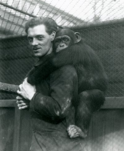 Mężczyzna niesie na plecach szympansa Sally, londyńskie zoo, 1924 autorstwa Frederick William Bond
