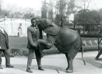 Młody afrykański słoń karłowaty stoi na tylnych łapach, aby objąć swojego afrykańskiego trenera, podczas gdy opiekun patrzy na londyńskie zoo, lipiec 1925 autorstwa Frederick William Bond