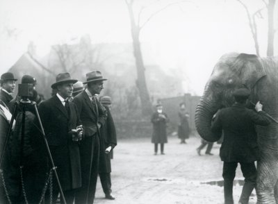 Słoń indyjski, prawdopodobnie Sundermalah, biorący udział w zewnętrznej transmisji z londyńskiego zoo, 1925 autorstwa Frederick William Bond