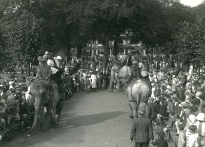 Przejażdżki na słoniach, z trzema azjatyckimi słoniami obserwowanymi przez tłumy gapiów w londyńskim zoo w sierpniu 1926 r. (zdjęcie czarno-białe) autorstwa Frederick William Bond