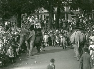 Przejażdżki na słoniach, z dwoma azjatyckimi słoniami obserwowanymi przez tłumy gapiów w londyńskim zoo w sierpniu 1926 r. (zdjęcie czarno-białe) autorstwa Frederick William Bond