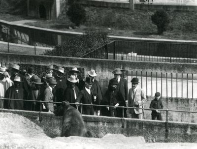 Sir Peter Chalmers Mitchell, z etiopskim regentem Haile Selassie i jego świtą, oglądają niedźwiedzia brunatnego na tarasach Mappin, londyńskie zoo, 1924 autorstwa Frederick William Bond
