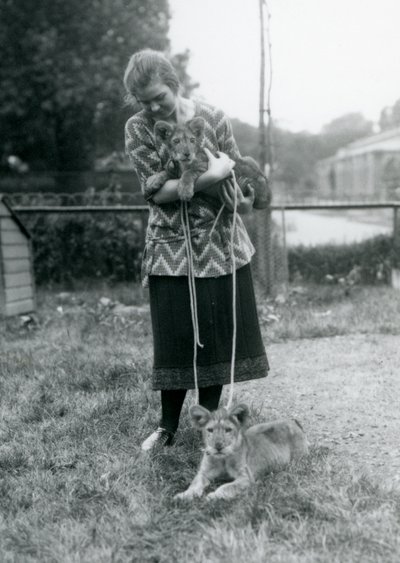 Dwa lwie młode z młodą kobietą w londyńskim zoo w sierpniu 1925 r. autorstwa Frederick William Bond