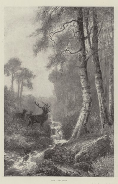 Świt w lesie autorstwa Frederick William Hayes