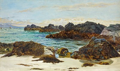 Przypływ autorstwa Frederick William Hayes