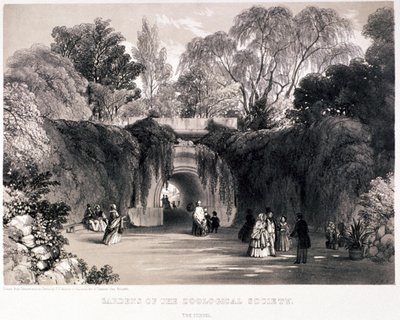 Ogrody zoologiczne, Regent