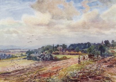 Głodny Grafton autorstwa Frederick William Newton Whitehead
