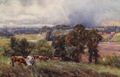 Leamington i Warwick z Campion Hills autorstwa Frederick William Newton Whitehead