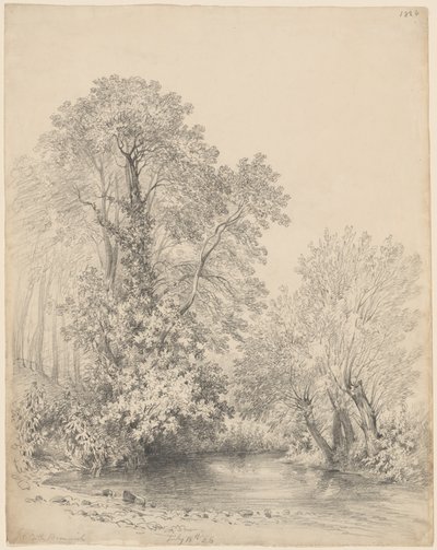 Drzewa nad rzeką na zamku Bromwich autorstwa Frederick William Watts