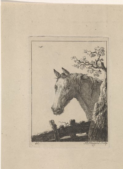 Głowa konia autorstwa Frederik Lodewijk Huygens