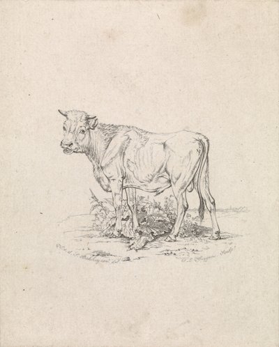 Szlaki autorstwa Frederik Lodewijk Huygens