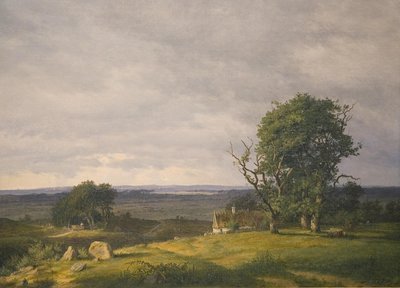Krajobraz z Esromegnen autorstwa Frederik Rohde