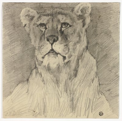Widok z przodu siedzącej lwicy autorstwa Frederik William Zurcher