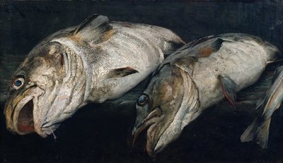 Dorsz autorstwa Fredrik Kolstoe