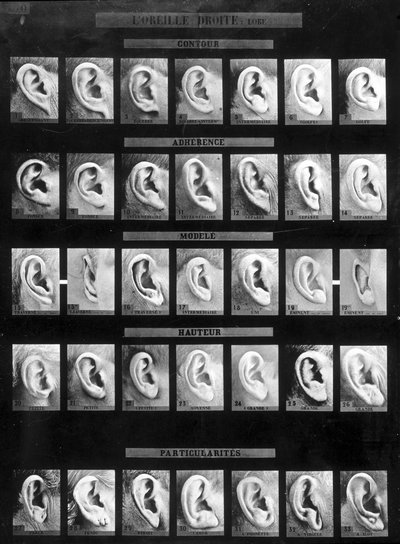 Klasyfikacja antropometryczna i identyfikacja systemu Bertillona: porównanie różnych typów uszu prostych (płatka). sd. Koniec XIX wieku. autorstwa French Photographer