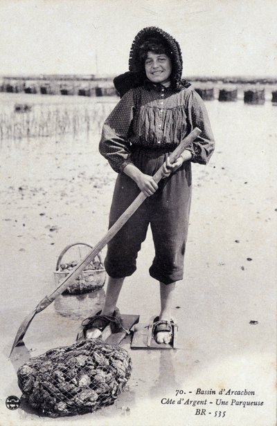 Basen Arcachon: maszyna do sortowania ostryg - pocztówka autorstwa French Photographer