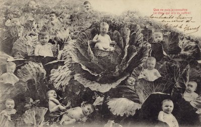 Niemowlęta w grządce kapusty (fotokolaż) autorstwa French Photographer