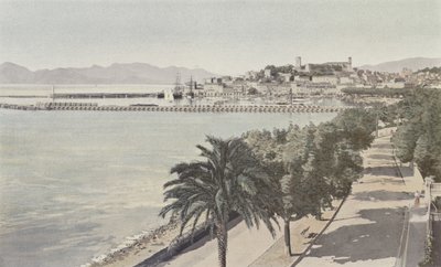 Cannes, Port i Stare Miasto, Boulevard de la Croisette autorstwa French Photographer