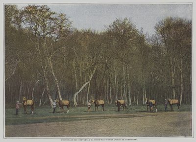 Ćwiczenia na koniach wyścigowych w La Croix-Saint-Ouen w Foret de Compiegne we Francji (kolorowe zdjęcie) autorstwa French Photographer