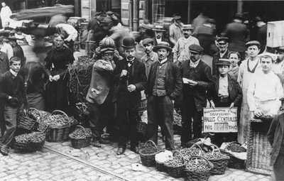 Ogrodnicy rynku Les Halles, Paryż, 1907 autorstwa French Photographer