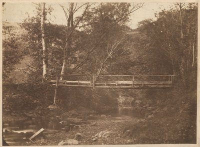 Pejzaż z drzewami i mostem, ok. 1850 (zdjęcie) autorstwa French Photographer