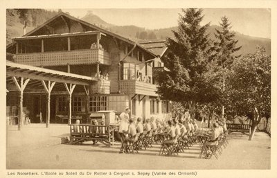 Leszczynowe drzewa, szkoła w słońcu autorstwa French Photographer
