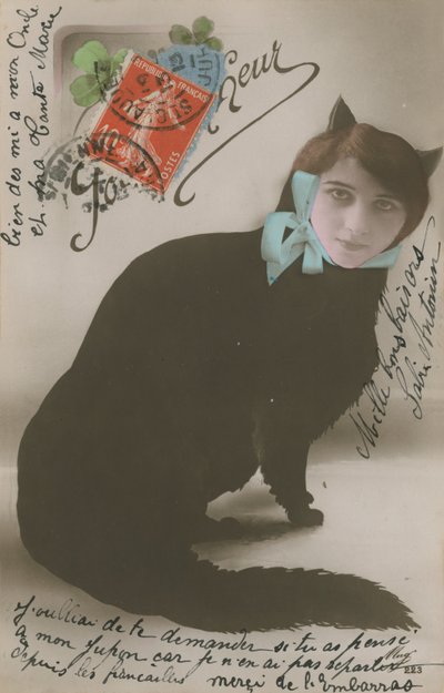 Pocztówka z kotem o kobiecej twarzy, wysłana w 1913 r. autorstwa French Photographer