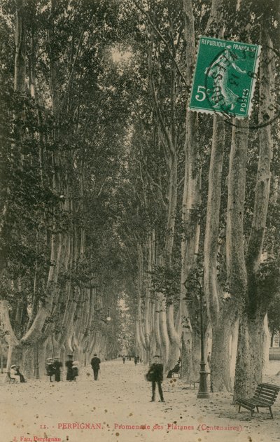 Promenade des Platanes w Perpignan. Pocztówka wysłana w 1913 roku. autorstwa French Photographer
