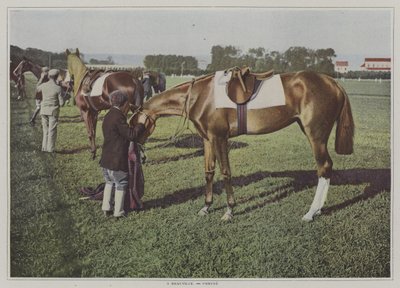 Konie wyścigowe w Deauville, Francja (kolorowe zdjęcie) autorstwa French Photographer