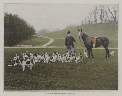 Beagle hrabiego Cowleya (zdjęcie kolorowe) autorstwa French Photographer