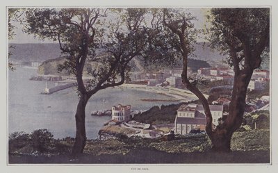Widok na Niceę (kolorowe zdjęcie) autorstwa French Photographer